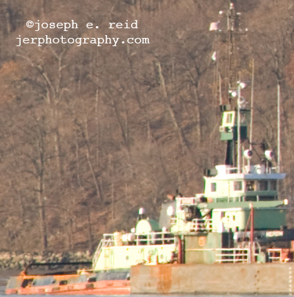 n80-2004-8crop Nikon AIS 80-200mm f/4 at f/8 and 200mm (100%)